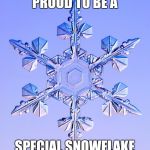 Special snowflake | PROUD TO BE A; SPECIAL SNOWFLAKE | image tagged in special snowflake | made w/ Imgflip meme maker