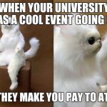 White Cat What 2 | WHEN YOUR UNIVERSITY HAS A COOL EVENT GOING ON; AND THEY MAKE YOU PAY TO ATTEND | image tagged in white cat what 2 | made w/ Imgflip meme maker