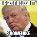 Don't trust celebrity politicians | BIGGEST CELEBRITY; SNOWFLAKE | image tagged in rule thirty four,funny,memes,dogs,cats,animals | made w/ Imgflip meme maker