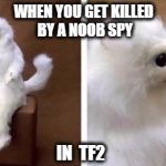White monkey | WHEN YOU GET KILLED BY A NOOB SPY; IN  TF2 | image tagged in white monkey | made w/ Imgflip meme maker