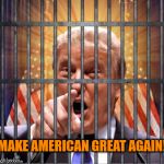 Make American Great Again | MAKE AMERICAN GREAT AGAIN! | image tagged in make america great again,trump,jail,usa hostage | made w/ Imgflip meme maker