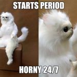 White Cat What 2 | STARTS PERIOD; HORNY 24/7 | image tagged in white cat what 2 | made w/ Imgflip meme maker