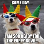 dogs mardi gras | GAME DAY.... I AM SOO READY FOR THE PUPPY BOWL... | image tagged in dogs mardi gras | made w/ Imgflip meme maker