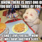 Party | I KNOW THERE IS JUST ONE OF YOU BUT I SEE THREE OF YOU.... AND I LOVE YOU ALL.... NOW I WILL HAVE ANOTHER SLICE... | image tagged in drunk doggy | made w/ Imgflip meme maker