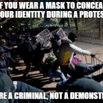 Criminals | IF YOU WEAR A MASK TO CONCEAL YOUR IDENTITY DURING A PROTEST; YOU ARE A CRIMINAL, NOT A DEMONSTRATOR | image tagged in protesters,demonstration,thugs | made w/ Imgflip meme maker