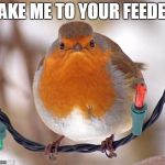 Bah Humbug | TAKE ME TO YOUR FEEDER | image tagged in memes,bah humbug | made w/ Imgflip meme maker