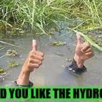 underWater | DID YOU LIKE THE HYDRO? | image tagged in underwater | made w/ Imgflip meme maker