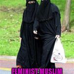 muslim feminist | FEMINIST MUSLIM IS AN
OXYMORON | image tagged in muslim feminist | made w/ Imgflip meme maker