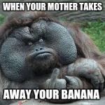 mad monkey | WHEN YOUR MOTHER TAKES; AWAY YOUR BANANA | image tagged in mad monkey | made w/ Imgflip meme maker