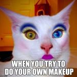 Makeup cat | WHEN YOU TRY TO DO YOUR OWN MAKEUP | image tagged in makeup cat | made w/ Imgflip meme maker