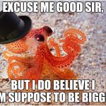 Sir octopus | EXCUSE ME GOOD SIR, BUT I DO BELIEVE I AM SUPPOSE TO BE BIGGER | image tagged in sir octopus | made w/ Imgflip meme maker