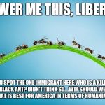 immigrant invading ants | ANSWER ME THIS, LIBERALS; CAN YOU SPOT THE ONE IMMIGRANT HERE WHO IS A KILLER ANT NOT A BLACK ANT?
DIDN'T THINK SO. ..WTF SHOULD WE THINK YOU KNOW WHAT IS BEST FOR AMERICA IN TERMS OF HUMANIMMIGRATION ? | image tagged in immigrant invading ants | made w/ Imgflip meme maker