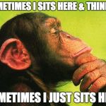 Chimp Think | SOMETIMES I SITS HERE & THINKS... SOMETIMES I JUST SITS HERE | image tagged in chimp think | made w/ Imgflip meme maker