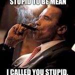 arnold cigar | I DIDN'T CALL YOU STUPID TO BE MEAN; I CALLED YOU STUPID, BECAUSE YOU'RE STUPID | image tagged in arnold cigar | made w/ Imgflip meme maker