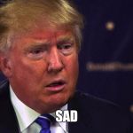 Sad Trump | SAD | image tagged in sad trump | made w/ Imgflip meme maker