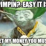 yodapimp | PIMPIN?  EASY IT IS; GET MY MONEY YOU MUST | image tagged in yodapimp | made w/ Imgflip meme maker