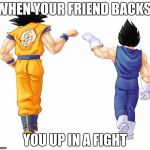 Goku & Vegeta | WHEN YOUR FRIEND BACKS; YOU UP IN A FIGHT | image tagged in goku  vegeta | made w/ Imgflip meme maker