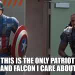 Dear Football fans... | THIS IS THE ONLY PATRIOT AND FALCON I CARE ABOUT | image tagged in cap and falcon,superbowl | made w/ Imgflip meme maker