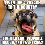 Crazy Dog | I WENT ON A VOYAGE TO THE COUNTRY; BUT THEN I GOT IN DOUBLE TROUBLE AND I WENT CRAZY | image tagged in crazy dog | made w/ Imgflip meme maker