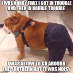 fat crazy dog | I WAS ANNOY THAT I GOT IN TROUBLE AND THEN IN DOUBLE TROUBLE; I WAS ALLOW TO GO AROUND THE SOUTHERN BUT IT WAS NOISY | image tagged in fat crazy dog | made w/ Imgflip meme maker