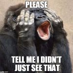 My Eyes Gorilla | PLEASE; TELL ME I DIDN'T JUST SEE THAT | image tagged in my eyes gorilla | made w/ Imgflip meme maker