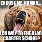 grizzly bear | EXCUSE ME, HUMAN... WHICH WAY TO THE NEAREST CHARTER SCHOOL? | image tagged in grizzly bear | made w/ Imgflip meme maker