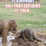 Monday Elephant | HOW CAN YOU EVEN... IT'S MONDAY; OH... THAT EXPLAINS IT, THEN... | image tagged in monday elephant | made w/ Imgflip meme maker