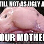 Blobfish | STILL NOT AS UGLY AS; YOUR MOTHER | image tagged in blobfish | made w/ Imgflip meme maker