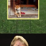 Submitted at 3:20am EST, just to see what happens :) | FOLKS, IF THE SIGN IN YOUR YARD SAYS "BEWARE OF DOGE" AND NOT "BEWARE OF DOG"; YOU'RE PROBABLY A MEME ADDICT | image tagged in jeff foxworthy front yard sign,jeff foxworthy,memes,doge,beware of doge,you might be a meme addict | made w/ Imgflip meme maker
