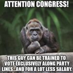 Thinking gorilla | ATTENTION CONGRESS! THIS GUY CAN BE TRAINED TO VOTE EXCLUSIVELY ALONG PARTY LINES...AND FOR A LOT LESS SALARY. | image tagged in thinking gorilla | made w/ Imgflip meme maker