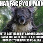 Angry koala | THAT FACE YOU MAKE; AFTER GETTING HIT BY A DRONE STRIKE BECAUSE YOU WERE LABELED A TERRORIST BECAUSE YOUR NAME IS CO-ALLAH | image tagged in angry koala,memes | made w/ Imgflip meme maker