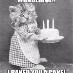 Cake Cat | WONDERFUL!! I BAKED YOU A CAKE! | image tagged in cake cat | made w/ Imgflip meme maker