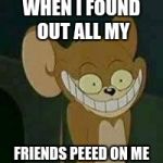 crazy mouse | WHEN I FOUND OUT ALL MY; FRIENDS PEEED ON ME | image tagged in crazy mouse | made w/ Imgflip meme maker