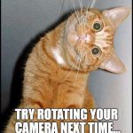 Stupid Cat | TRY ROTATING YOUR CAMERA NEXT TIME... | image tagged in stupid cat | made w/ Imgflip meme maker