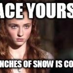 Sansa Stark | BRACE YOURSELF; 10-15 INCHES OF SNOW IS COMING... | image tagged in sansa stark | made w/ Imgflip meme maker