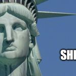 Statue of Liberty | #YET, SHE PERSISTED | image tagged in statue of liberty | made w/ Imgflip meme maker