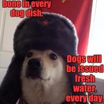 communist dog | We will issue a soup bone in every dog dish. Dogs will be issued fresh water, every day. | image tagged in communist dog | made w/ Imgflip meme maker