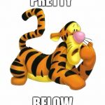 tiggerwarning | PRETTY; BELOW | image tagged in tiggerwarning | made w/ Imgflip meme maker