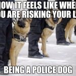 police dogs | HOW IT FEELS LIKE WHEN YOU ARE RISKING YOUR LIFE; BEING A POLICE DOG | image tagged in police dogs | made w/ Imgflip meme maker