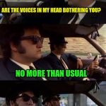 Jake and Elwood | ARE THE VOICES IN MY HEAD BOTHERING YOU? NO MORE THAN USUAL | image tagged in jake and elwood | made w/ Imgflip meme maker