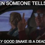 Chevy Chase's Day Off | WHEN SOMEONE TELLS ME; "THE ONLY GOOD SNAKE IS A DEAD SNAKE." | image tagged in chevy chase's day off | made w/ Imgflip meme maker