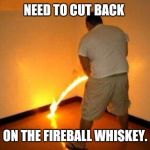 The burning means its working | NEED TO CUT BACK; ON THE FIREBALL WHISKEY. | image tagged in the burning means its working | made w/ Imgflip meme maker
