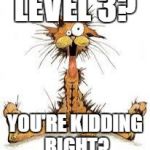 Me Stressed? â€¦ Naaaaaaaa | LEVEL 3? YOU'RE KIDDING RIGHT? | image tagged in me stressed  naaaaaaaa | made w/ Imgflip meme maker