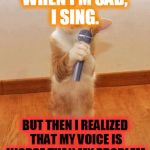 Happy birthday day Maureeeennn from the singing cat! Meme Generator