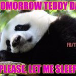 Sad Panda | IS TOMORROW TEDDY DAY? FB/TNWTKSLIK; PLEASE, LET ME SLEEP | image tagged in sad panda | made w/ Imgflip meme maker