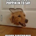 Jim Golden Retriever  | HEY MISSY JUST POPPIN IN TO SAY; HAPPY BIRTHDAY!! | image tagged in jim golden retriever | made w/ Imgflip meme maker