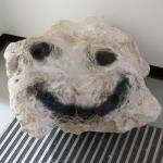 Pet Rock