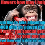 Monkey on phone | 1 800 flowers how may I help you? I would like to take advantage of your BOGO offer on a dozen red roses; Well aren't you special getting 2 dozen roses for your one and only; Um can I get them sent to different addresses? | image tagged in monkey on phone | made w/ Imgflip meme maker