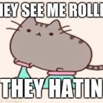 pusheen on a bike | THEY SEE ME ROLLIN'; THEY HATIN | image tagged in pusheen on a bike | made w/ Imgflip meme maker