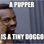 british rapper | A PUPPER; IS A TINY DOGGO | image tagged in british rapper | made w/ Imgflip meme maker